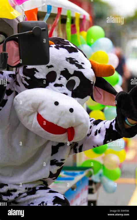 Holstein Cow Mascot Apparel: Spreading Team Spirit Everywhere You Go